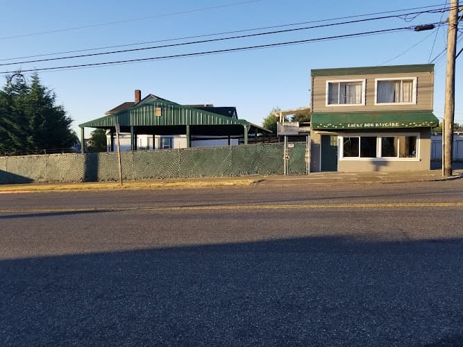 Dog day care center Lucky Dog Daycare Tacoma