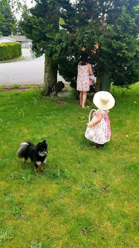 Dog day care center Lucky Paws Pet Salon Federal Way