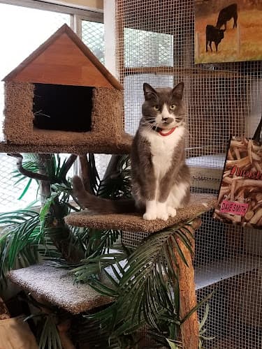 Dog day care center Marcinda Kennels Spokane