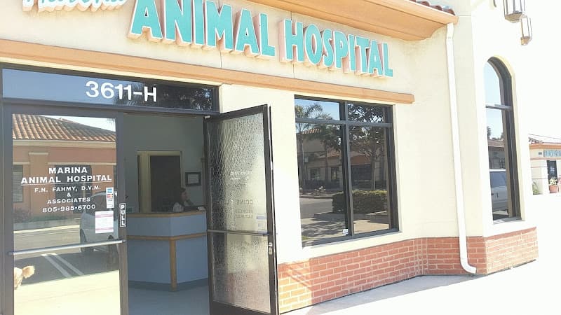 Dog day care center Marina Animal Hospital Oxnard