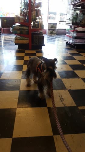 Dog day care center McCormick's Pets El Monte
