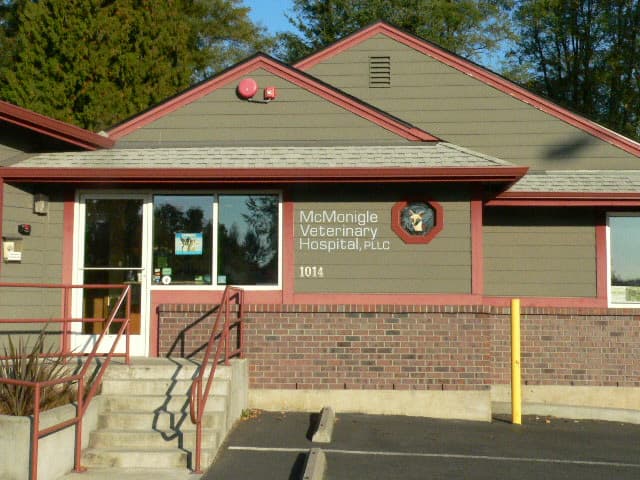 Dog day care center McMonigle Veterinary Hospital Kent