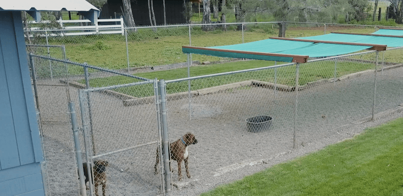 Dog day care center Meridian K9 Resort Chico