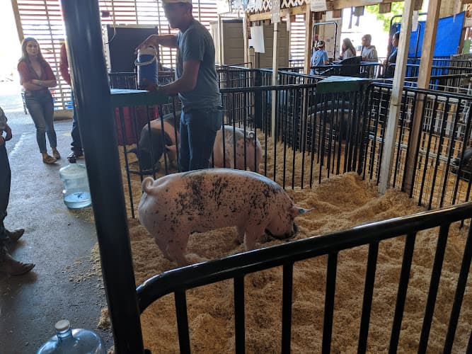 Dog day care center Minami Community center Santa Maria