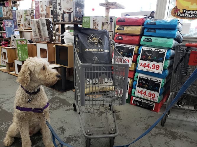 Dog day care center Mini Pet Mart Bend