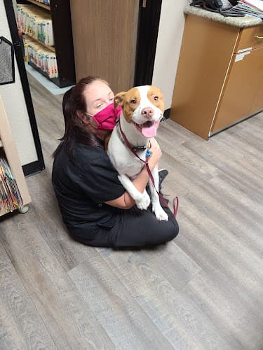 Dog day care center Mission Hills Pet Care Center Mission Viejo