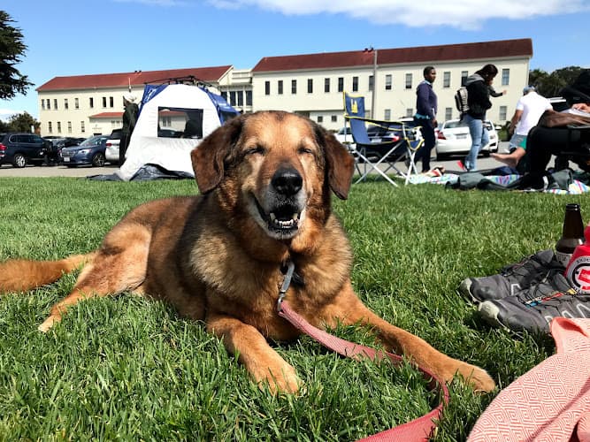 Dog day care center Mission Valley Veterinary Clinic Fremont