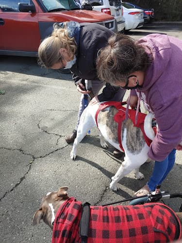 Dog day care center Montecito Veterinary Center Santa Rosa