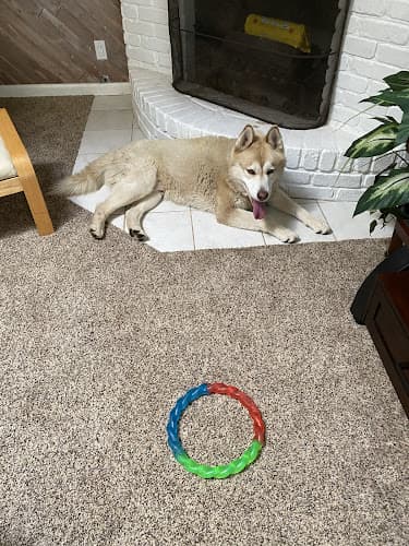 Dog day care center Monterey County Animal Services Salinas