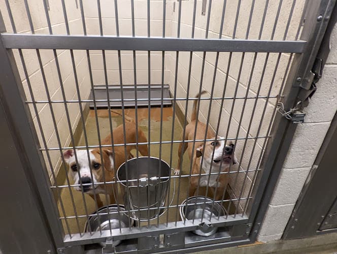 Dog day care center Moreno Valley Animal Shelter Moreno Valley