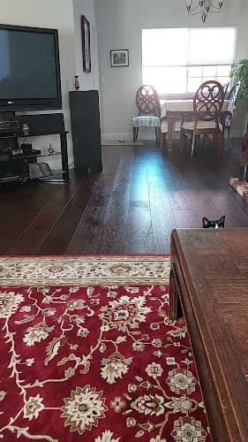 Dog day care center Mudpuppies Pet Sitting Chico