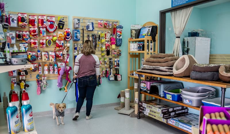 Dog day care center Murrieta Family Pet Hospital Murrieta