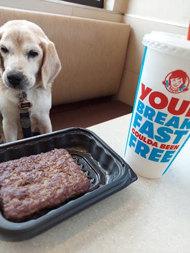Dog day care center Mutt Hut Santa Maria
