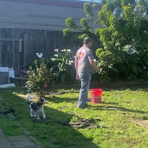 Dog day care center Muttley’s Playhouse San Mateo