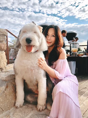 Dog day care center Namast'ay Dog Spa San Mateo