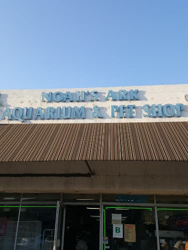 Dog day care center Noah's Ark El Monte