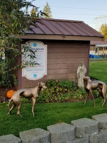 Dog day care center Northwind Pet Care Center Tacoma