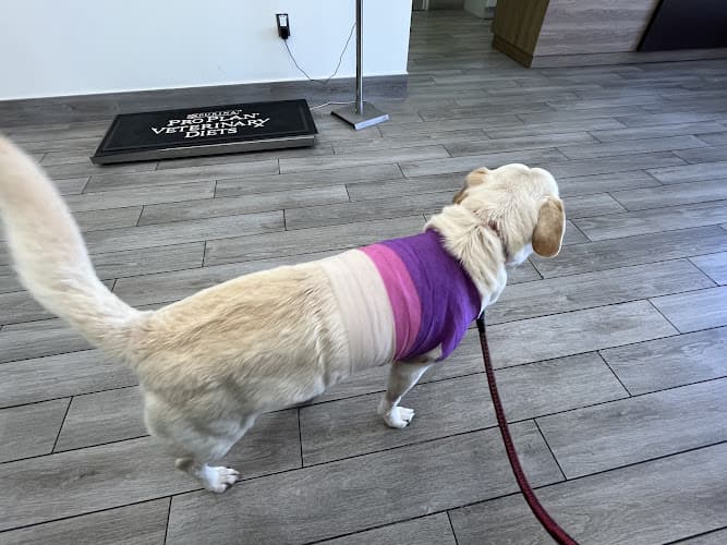 Dog day care center Norwalk Animal Hospital Norwalk