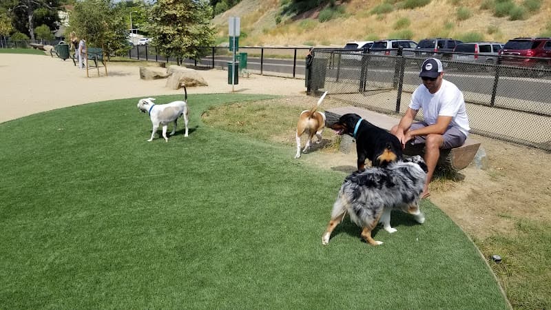 Dog day care center Olive Hills Dog Park Anaheim