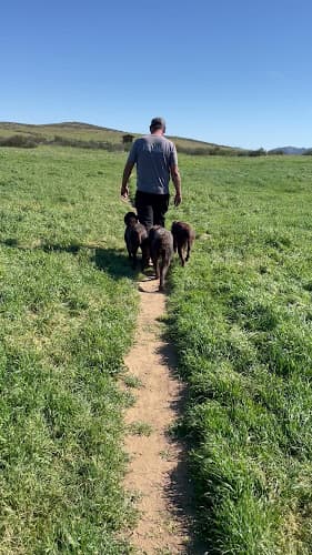 Dog day care center On A Hunt Kennels Murrieta