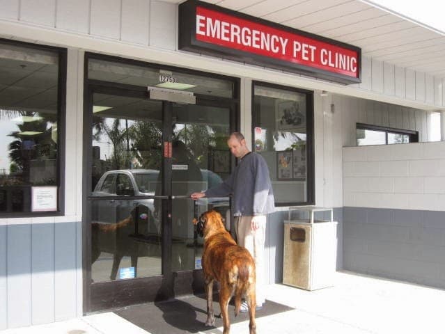 Dog day care center Orange County Emergency Pet Clinic Garden Grove