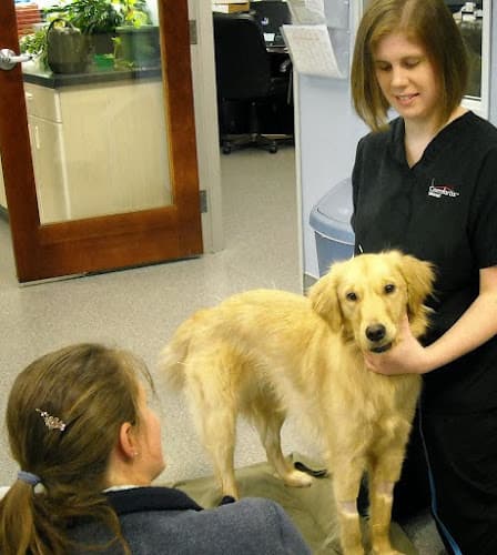 Dog day care center Orchard View Veterinary Center Salem