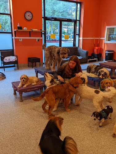 Dog day care center Our Best Friend Doggie Daycare and Boutique, LLC Tacoma