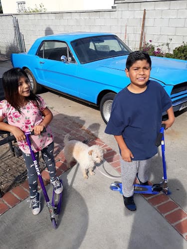 Dog day care center Palm Plaza Moreno Valley