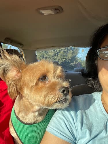 Dog day care center Pampered Pet Jurupa Valley