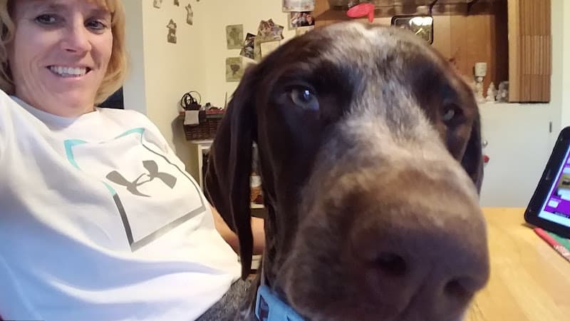 Dog day care center Pampered Pooch Pet Hotel Lancaster