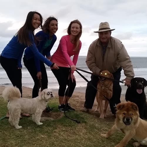 Dog day care center Paradise Pet Care San Diego