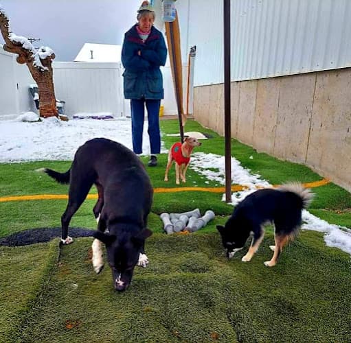 Dog day care center Paradise Pet Resort Spokane