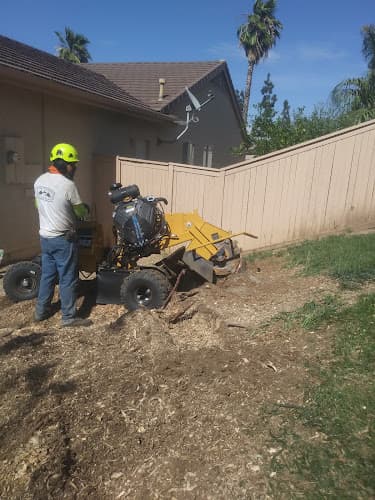 Dog day care center Patricia's Pretty Paws Corona