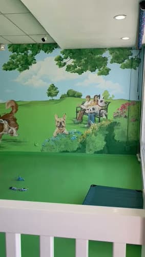 Dog day care center Paw Haven Los Angeles