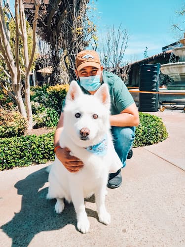 Dog day care center Pawlished Paws Boutique & Spa Inc. Riverside