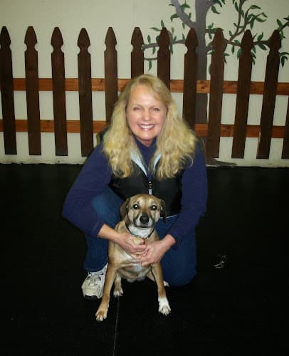 Dog day care center Paws Afoot Everett