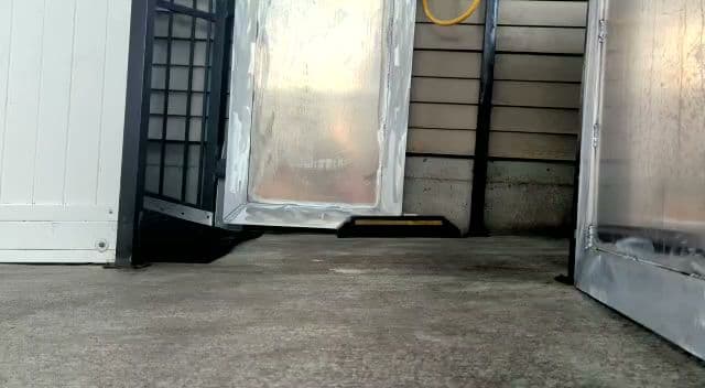 Dog day care center PawsVIP Kent