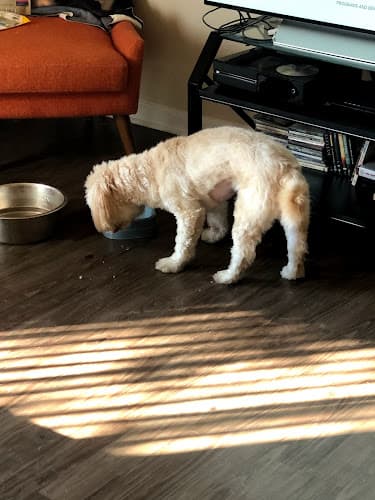 Dog day care center Pedley Square Veterinary Clinic Jurupa Valley