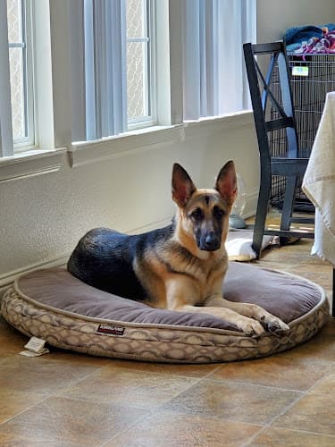 Dog day care center Performance K9 Training Carlsbad