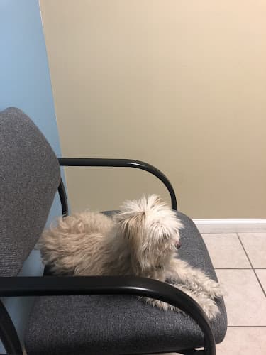 Dog day care center Pet Care Animal Hospital San Jose