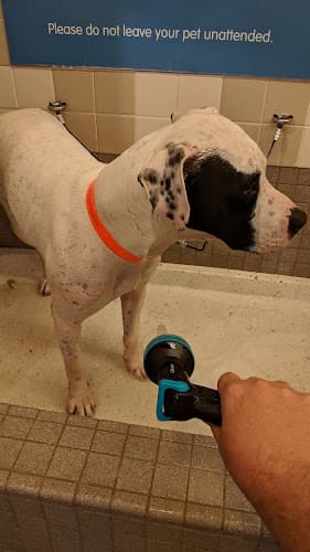 Dog day care center Pet Food Express Glendale