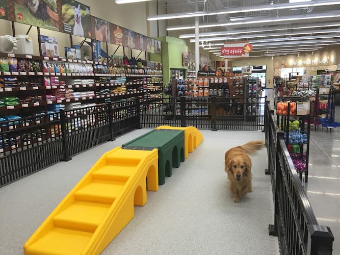 Dog day care center Pet Food Express Long Beach