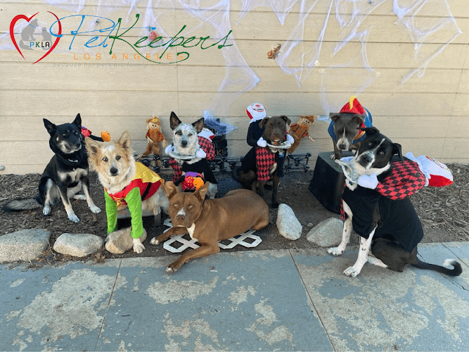 Dog day care center Pet Keepers LA Los Angeles