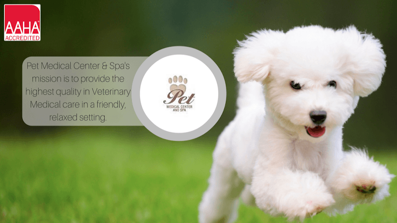 Dog day care center Pet Medical Center & Spa Fresno