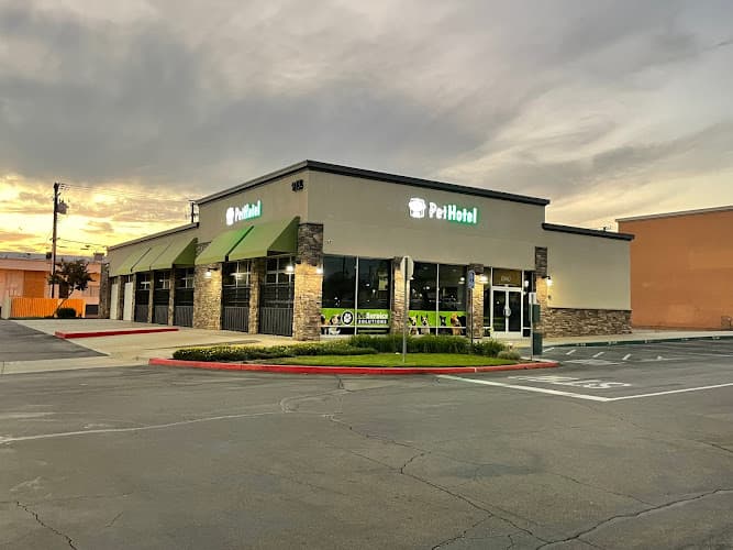 Dog day care center Pet Service Solutions - Upland Riverside