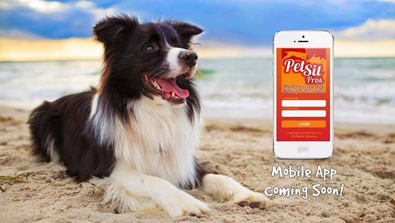 Dog day care center Pet Sit Pros Inc. Long Beach