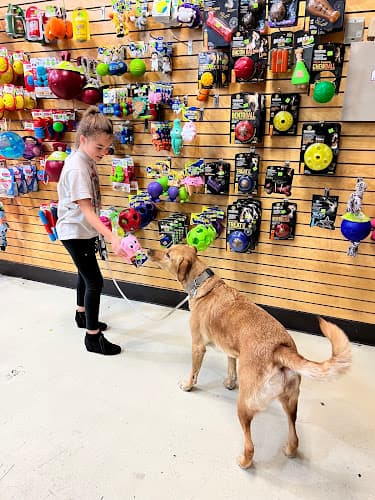 Dog day care center Pet Vet Pet Food Richmond