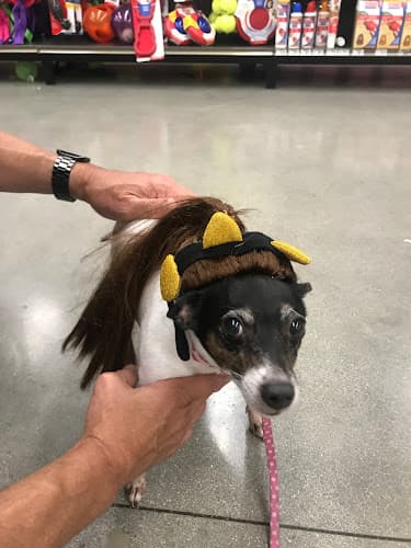 Dog day care center Petco Carlsbad