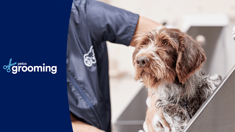 Dog day care center Petco Grooming Corona