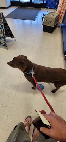 Dog day care center Petco Grooming Spokane Valley